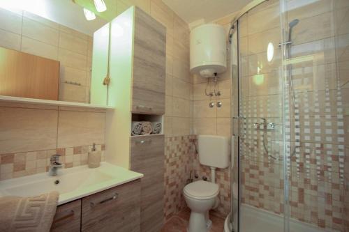 a bathroom with a toilet and a shower and a sink at Robinson Bella in Bogomolje