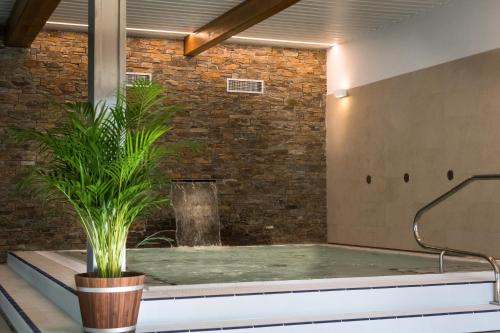 wanna z doniczką przed ścianą z cegły w obiekcie Wellness Hotel Holzberg w mieście Suchá Rudná