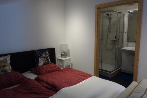 a bedroom with a bed and a shower and a sink at Haus Fuchs in Sankt Martin am Tennengebirge