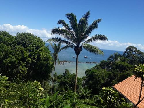a palm tree in the middle of the ocean at Pousada Residence Vila das Flores in Morro de São Paulo