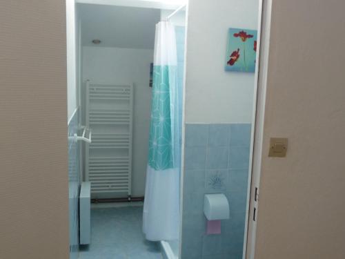 une salle de bain avec une douche avec un rideau de douche dans l'établissement Les Tuileries, à Ponteyraud