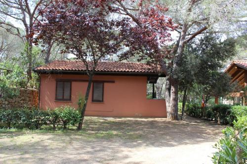 a small house with a tree in front of it at Camping Lacona Pineta in Capoliveri