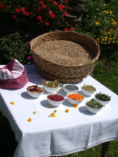 Φαγητό σε αυτό το διαμέρισμα ή κάπου εκεί κοντά