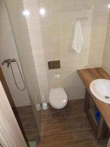 a bathroom with a toilet and a sink at Willa Plażowa in Mielno