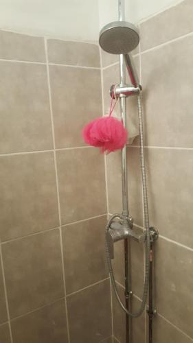y baño con ducha y sombrero rosa. en chambre, en Calais