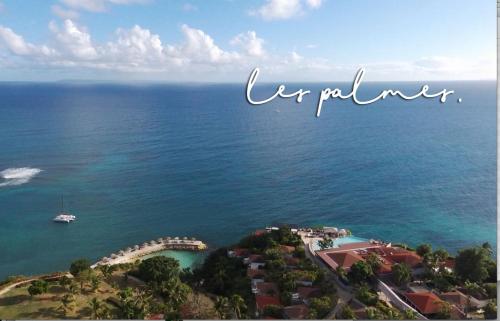 a view of the ocean with a boat in the water at 17 Les Palmes - Maison de charme - Piscine privée et accès plage in Sainte-Anne