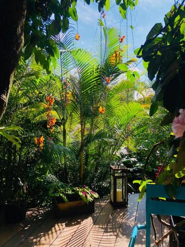 Taman di luar Patio del Mundo