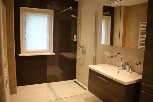 a bathroom with a shower and a sink and a shower at Ferienwohnung Palme in Trofaiach