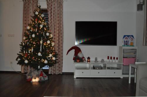 TV a/nebo společenská místnost v ubytování Chata HOME Stará Lesná