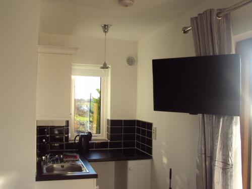 a kitchen with a sink and a tv on the wall at Shannonside Studios in Athlone