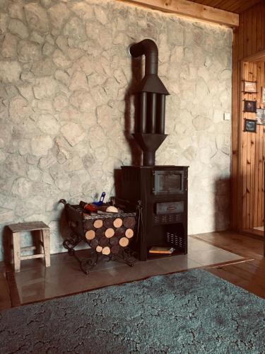 Fotografie z fotogalerie ubytování Chalet Hill Zabljak v destinaci Žabljak