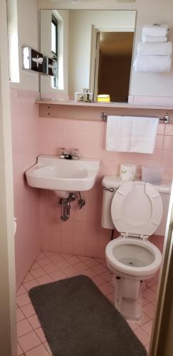 a pink bathroom with a toilet and a sink at Cozy Inn in Cortez