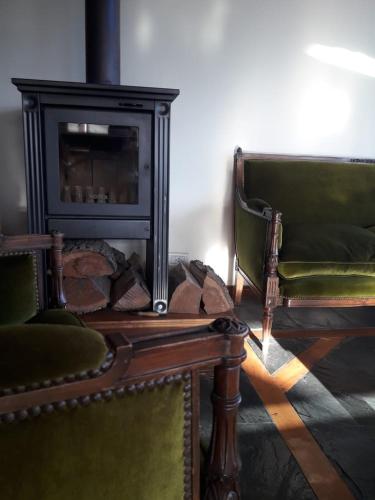 a living room with a fireplace and two green chairs at Ushuaia Lodge in Ushuaia