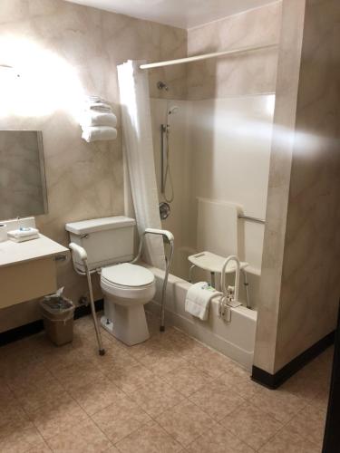 a bathroom with a toilet and a shower and a sink at Value Inn Harrisburg-York in Valley Green