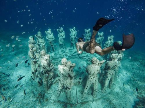 Gallery image of NEW CORALs in Gili Trawangan