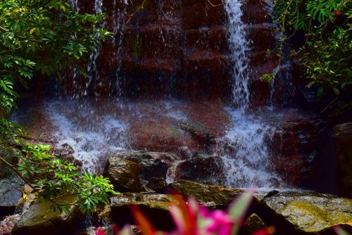 a waterfall in the jungle with flowers in the foreground at Hotel Moinho de Pedra in Serra Negra