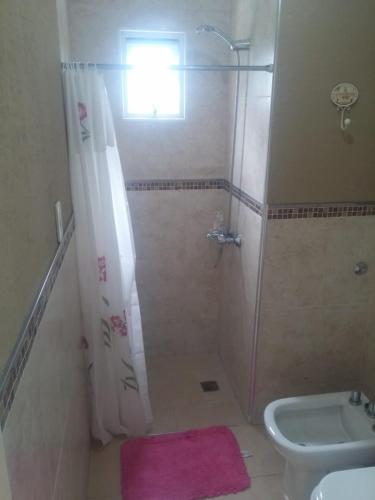 a bathroom with a shower and a sink at JUANA II in Villa Elisa