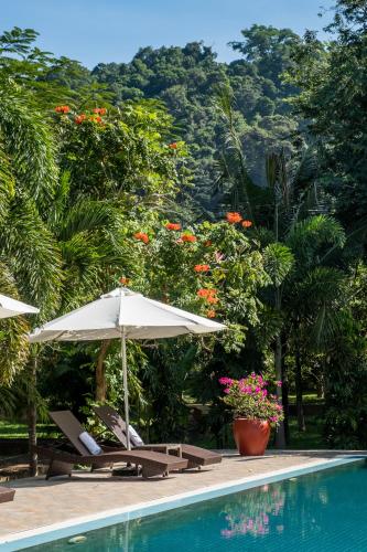 a swimming pool with an umbrella and chairs and trees at Kep Bungalows in Kep