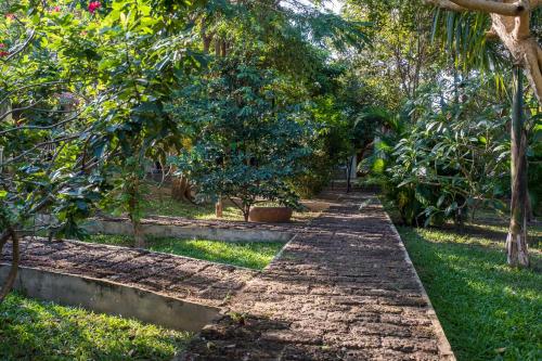 a path through a garden with trees and grass at Kep Bungalows in Kep