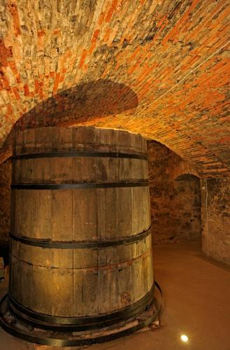 Gallery image of El Lagar de La Navazuela in La Rasa