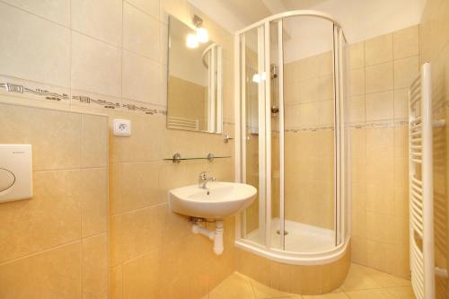 a bathroom with a sink and a shower at Pension U Hada in Český Krumlov