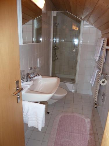 a bathroom with a sink and a shower at Berghaus Männlichen in Grindelwald