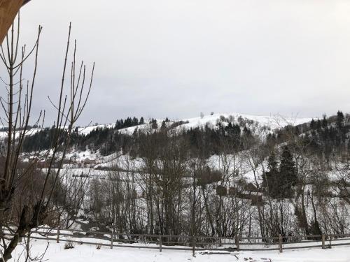 a snow covered hill with trees and a ski lift at ГУЦУЛЬСЬКА ХАТА in Yasinya