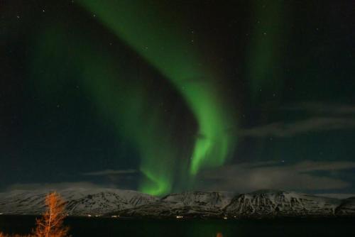 an aurora in the sky over a snowy field at Bakkakot 1 - Cozy Cabins in the Woods in Akureyri