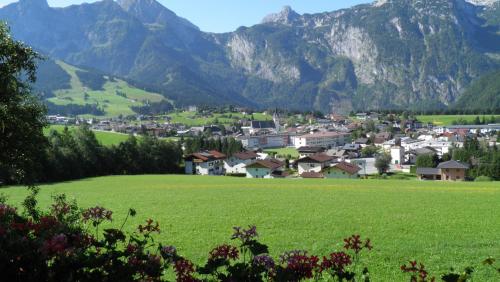 a village in a green field with mountains in the background at Vorderwimmhof in Abtenau