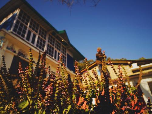 Το κτήριο όπου στεγάζεται  το hostel