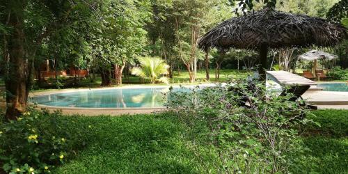 a swimming pool with a bench and an umbrella at Kuwera Eco Lodge in Sigiriya