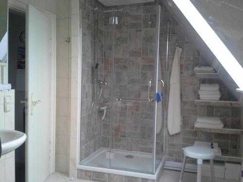 a bathroom with a shower with a glass door at Haus Ginkgo in Kappeln