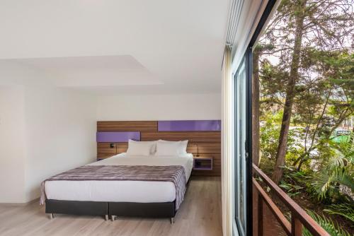 a bedroom with a bed and a large window at Foresta Hotel in Medellín