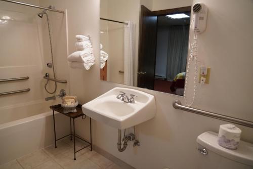 a bathroom with a sink and a toilet and a mirror at RiverBank Lodge in Petersburg