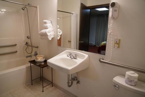 Un baño con lavabo, inodoro y espejo. en RiverBank Lodge, en Petersburg