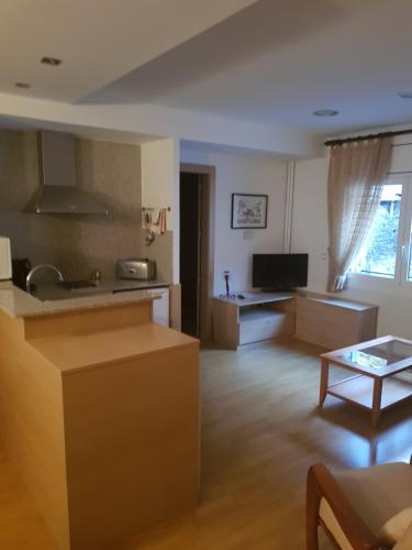 Gallery image of Apartaments Turistics Pirineu in Soldeu