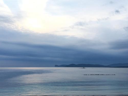 Φυσικό τοπίο κοντά σε αυτό το διαμέρισμα