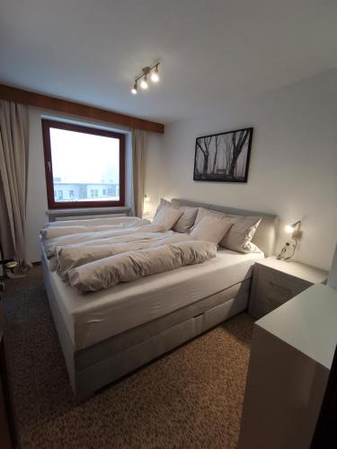 a bedroom with a large bed with a window at Appartment Fuzzy in Sölden