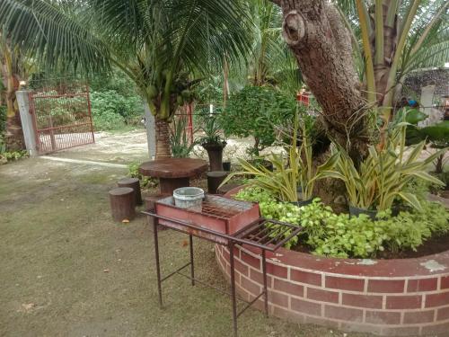 a garden with a table and some plants and a tree at Pitaya Native Guest House in Panglao