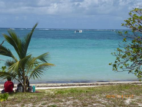 a person sitting under a palm tree on the beach at Shanti Nivas in Post of Flacq