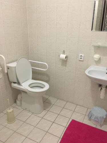 a bathroom with a toilet and a sink at Penzion Na Solné stezce in Kašperské Hory
