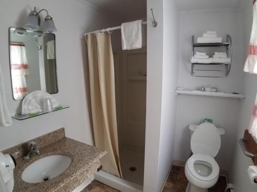 uma casa de banho com um chuveiro, um WC e um lavatório. em Bay Top Motel em Weirs Beach