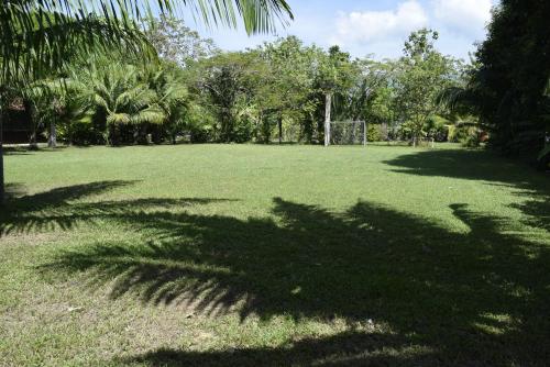 a large field with palm trees and a soccer ball at Villas Maria Luisa in Uvita