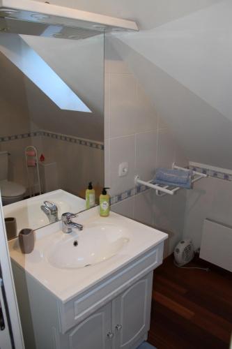 a bathroom with a sink and a mirror at Les Rives de l'Andelle in Romilly-sur-Andelle