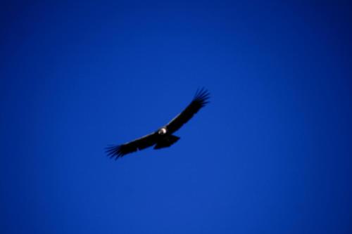 Φωτογραφία από το άλμπουμ του Estancia Las Carreras σε El Mollar