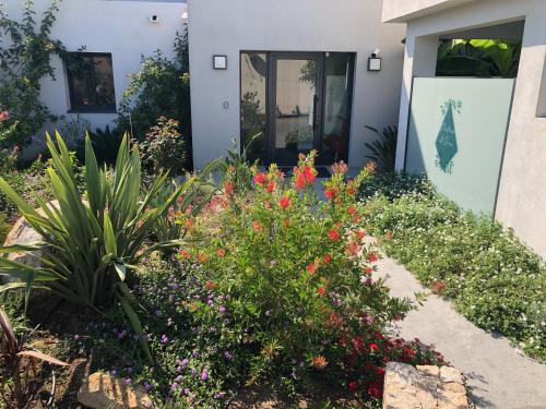 Residence Petradoru – Photos 4