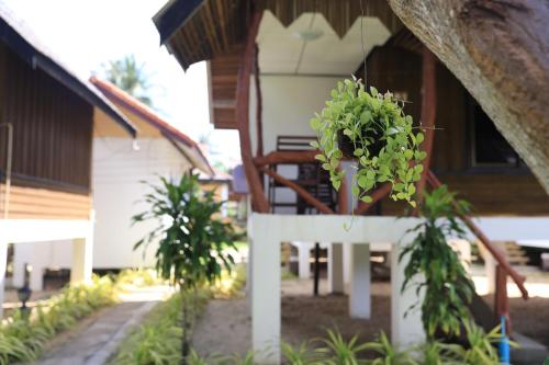 Giardino di Shangrilah Bungalow
