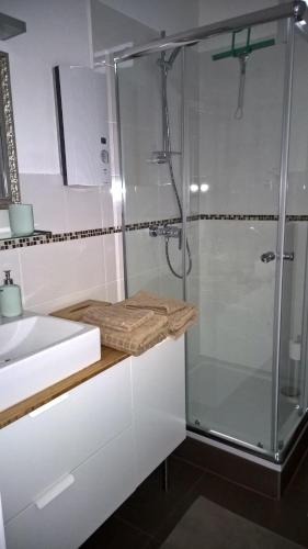 uma casa de banho com uma cabina de duche em vidro e um lavatório. em Rosenappartement-Deutschkreutz em Deutschkreutz