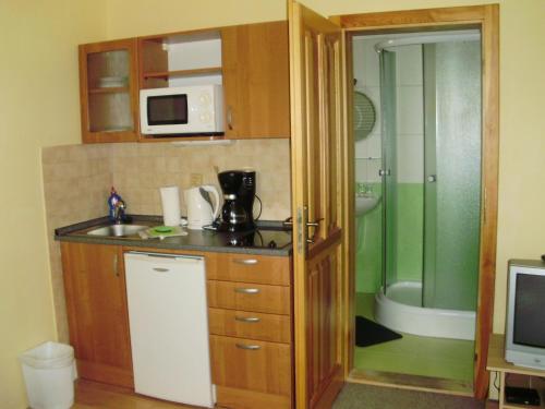 a small kitchen with a sink and a shower at Penzion Sunski in Harrachov