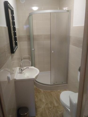 a bathroom with a shower and a sink and a toilet at Domki u Piotrusia in Żarnowska